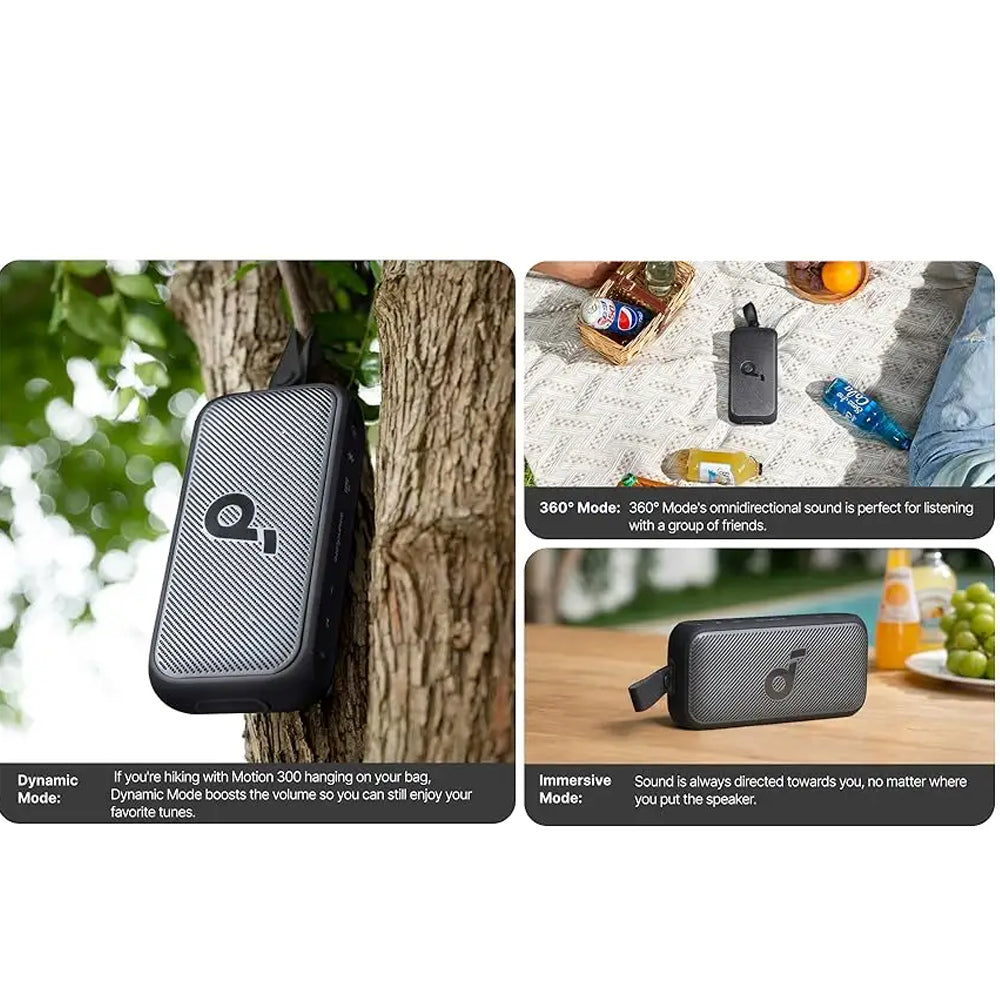 Anker Soundcore Motion 300 A3135011 Portable Bluetooth Speaker